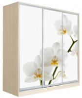 Шкаф-купе Оскар 4 (2,22х0,6х2,4 - 3 двери) в интернет магазине Планета Комфорта Фото shkaf-kupe-s-fotopechatyu шкаф-купе оскар 4 (2,22х0,6х2,4 - 3 двери) производитель Мебель Маркет