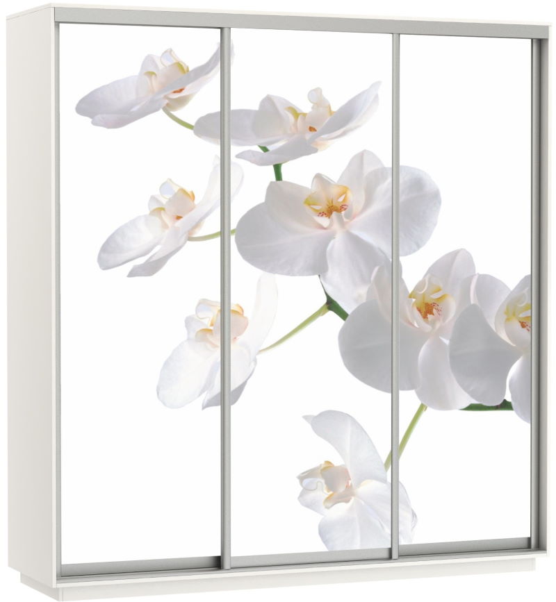 Фото Шкаф-купе Экспресс Трио Фото (2,4х0,6х2,4 - 3 двери) от производителя Мебельная компания Е1 в Евпатории по цене 63 870 ₽