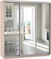 Шкаф-купе Экспресс Трио Экспенс (2,4х0,6х2,2 - 3 двери) в интернет магазине Планета Комфорта Фото shkaf-kupe-v-prikhozhuyu шкаф-купе экспресс трио экспенс (2,4х0,6х2,2 - 3 двери) производитель Мебельная компания Е1